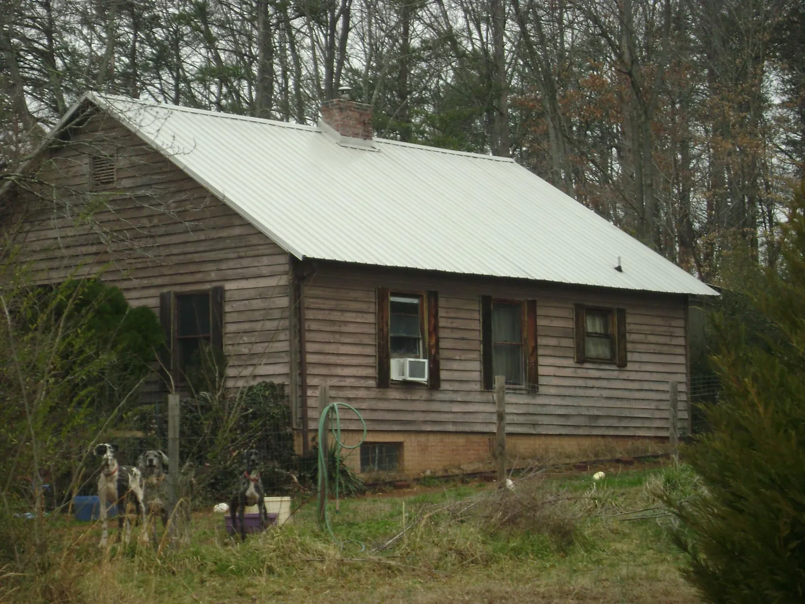 White metal roof on an old wood sided farmhouse, from a Asphalt Shingle Roof Repair job in Fombell
